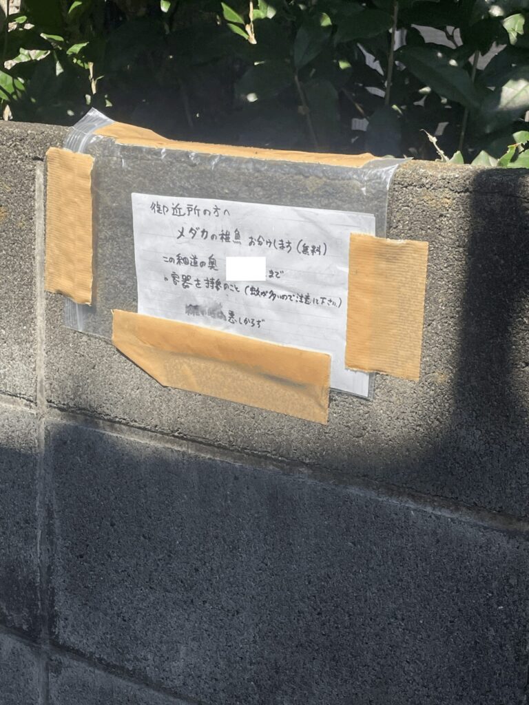 道すがらにあったメダカ無料で提供しますの張り紙